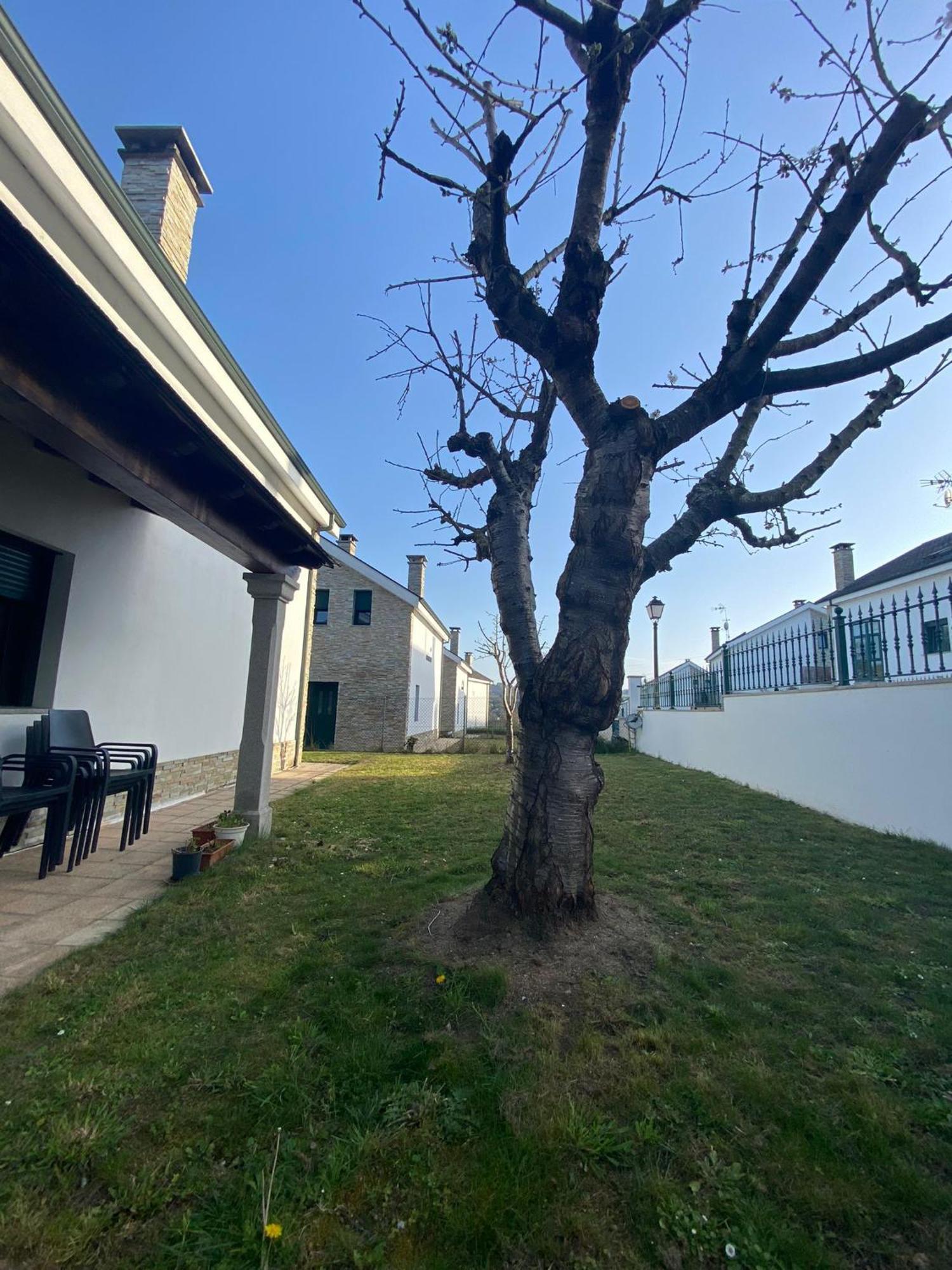 波尔托马林Casa Do Aloumino别墅 外观 照片